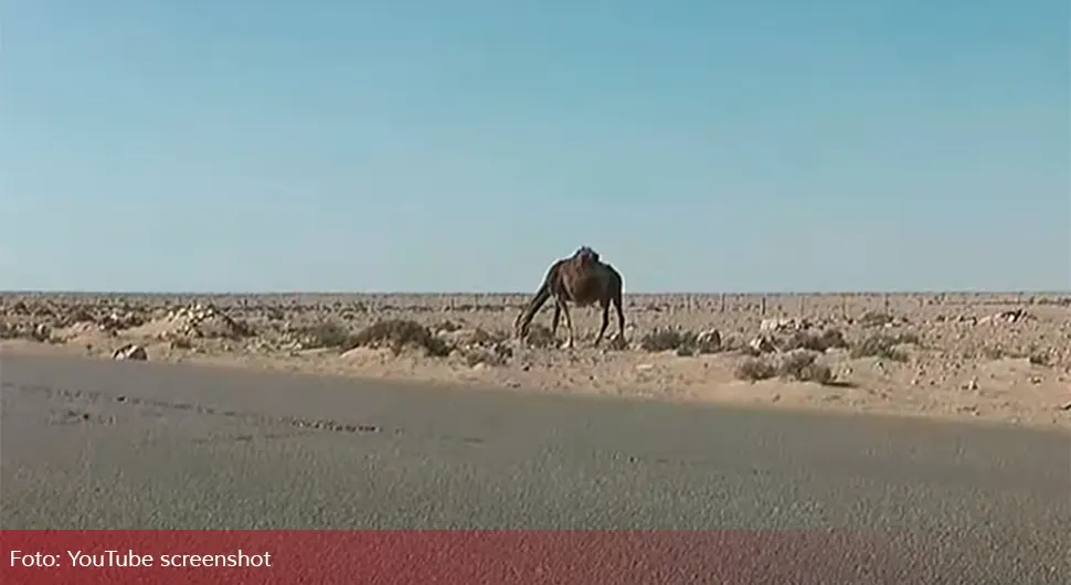 libijska pustinja sc yt.webp